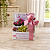 Box Tulipa - Imagem 2