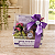 Box Tulipa - Imagem 3