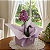 Orquídea para Presente - Imagem 3