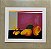 Aldemir Martins - serigrafia 37x46cm - Frutas - Imagem 1