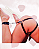 Arreio Harness OMG! - Imagem 2