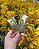 Power Honey Docinho do Amor Sachê 10g - Imagem 1
