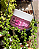Bubble Vibes 3 em 1 com Esferas de Ativação 120g - INTT - Imagem 4
