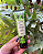 Breeze Gel Lubrificante Deslizante com Terpenos 60ML - Imagem 1