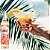 Vinho Frisante Salton Lunae Drinks Tropical 750ml - Imagem 4