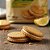 Biscoito Recheado Sabor Limão Elgorriaga Elgovita Sem Açucar - Imagem 2