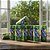Cerveja Flying Fish Lemon Lata 350ml - Pack Com 12 Unidades - Imagem 2