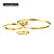 Lustre Plafon Skylight Holly Dourado 4003 - Imagem 1