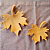 Folha de Maple - Imagem 2