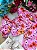 Conjunto Encanto Manu Blogueira Flores - Imagem 2