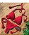Biquíni Santorini  Vermelho Texturizado Empina Bumbum e Reversível - Imagem 1