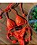 Biquíni Santorini  Laranja Neon Glow  Empina Bumbum Luxury Collection - Imagem 1