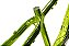 QUADRO PRO-X RUSTIC PRO 2026 - VERDE CHROMO - Imagem 5
