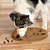 Dog Worker - Nina Ottosson - Imagem 2