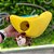 Pelúcia Zippy Burrow Monkey N Banana - Imagem 1