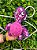 Pelúcia Esconde Esconde Tartaruga - Petta - Imagem 3