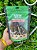 Bifinho Bovino 100g - Luv - Imagem 1