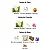 352 - Creed Wind Flowers Feminino- Brand Collection - Imagem 3