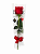 Solitário Rosa Colombiana - Imagem 1