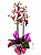 Phalaenopsis 2 Hastes - Imagem 3
