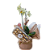 Box de Phalaenopsis - Imagem 1