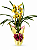 Orquídea Cimbidio - Imagem 1