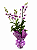 Orquidea Denphal Especial - Imagem 1