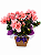Azaleia Embalada - Imagem 1