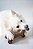 Benebone Bacon Stick - Imagem 6