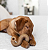 Benebone Trip Bone - Imagem 4