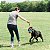 Chuckit! Rope Fetch - Imagem 2