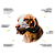 Biobone Ossão de Laranja - Imagem 4