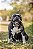 Twist - Pele Bovina em Espiral - Imagem 2