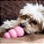 Kong Classic Puppy - Imagem 2