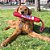KONG Signature Stick W Rope - Imagem 2