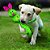KONG Wubba Ballistic Friend - Imagem 2