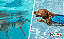 Colete Salva-Vida - Dawson Swin - Imagem 7