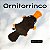 Ornitorrinco - Imagem 1