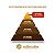 Café Especial Geisha 90 Pontos - Lata 220g - Imagem 5