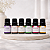 Kit 6 Essências Aromáticas Puras 10ml cada Aromá + Caixinha - Imagem 2