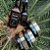 Kit Linha Sammy - Imagem 1