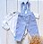 Look Bernardo azul - Body - Imagem 1
