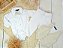 Look Vicente - Imagem 2