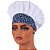 Chapéu Para Veterinários Tipo Gorro Patinhas Azul - Dr Chef - Imagem 1