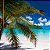 Papel de Parede Personalizado Praia Tropical Verão - Imagem 2