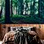 Papel de Parede Personalizado Floresta Verde - Imagem 2