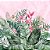 Papel de Parede Personalizado Tropical Feelings Rosa - Imagem 1