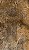 Porcelanato Villagres 610025 Cabernet Pol 61X106,5 Cx1,95M² - Imagem 1
