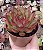 E. AGAVOIDES RED EBONY POTE 9 - Imagem 1