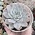 E. ZONNESTRAAL POTE 9 - Imagem 1